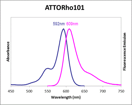 Absorbance and Fluorescence Emission