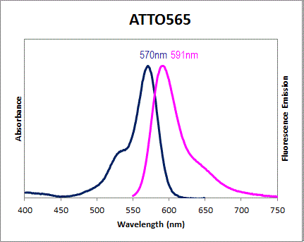 Absorbance and Fluorescence Emission